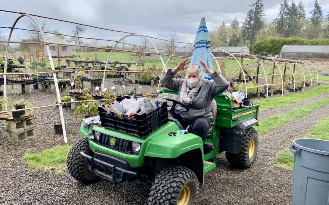 Spring Shopping at Secret Garden Growers