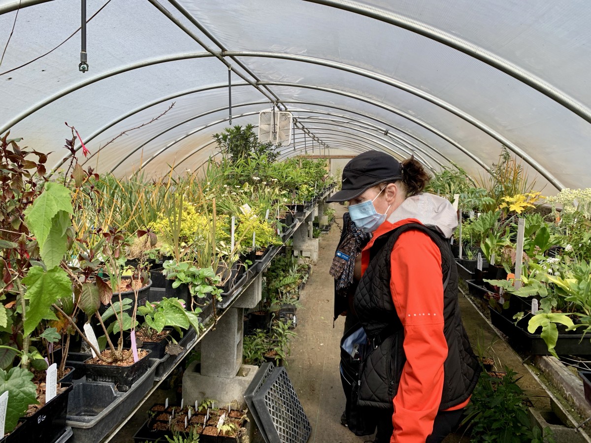 Spring Shopping at Secret Garden Growers - Plant Lust