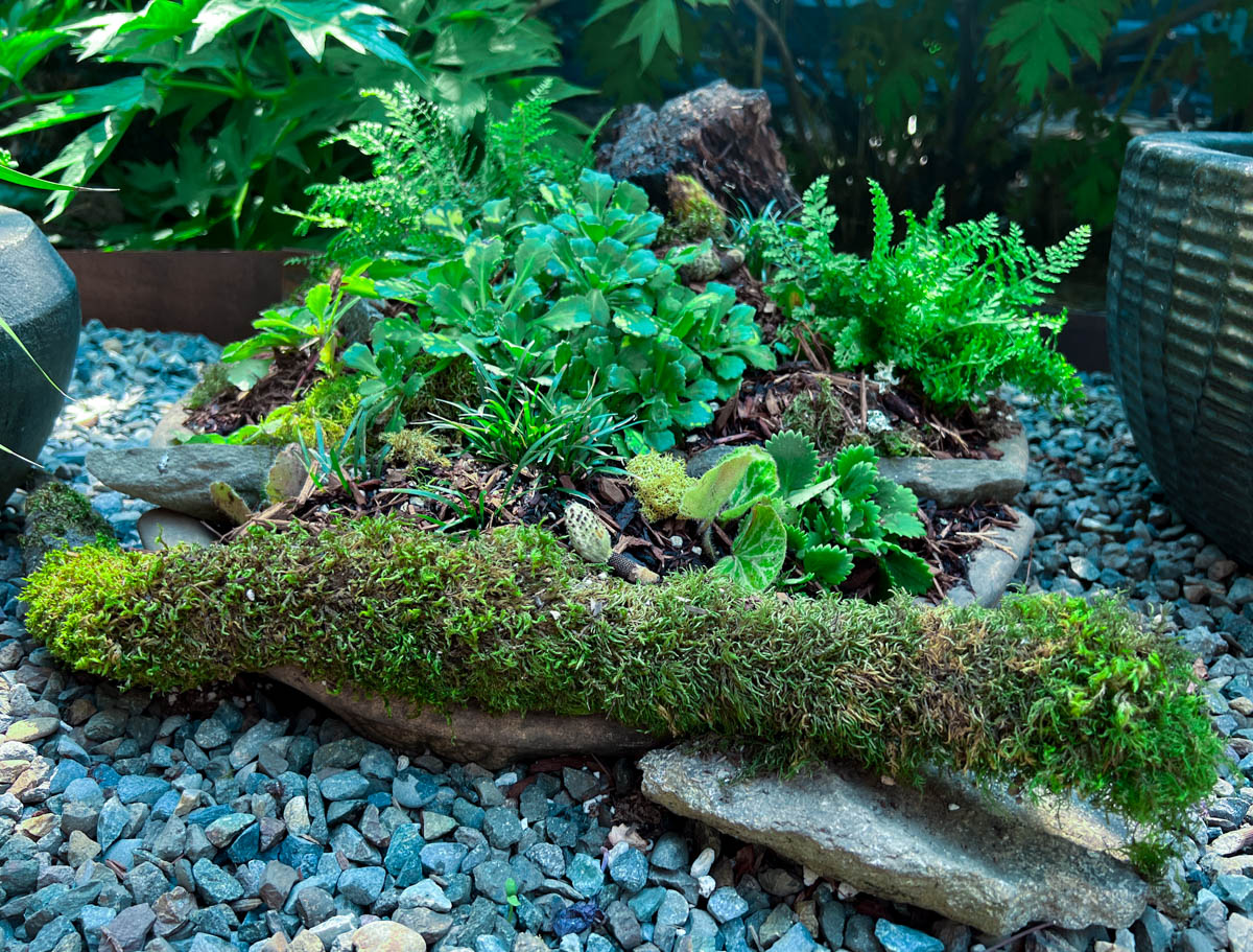 Upcycled birdbath converted to a planter with year-round interest