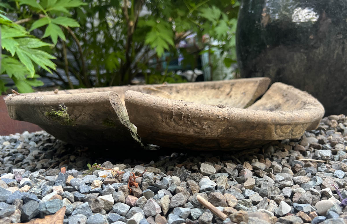 broken birdbath planter balanced for drainage