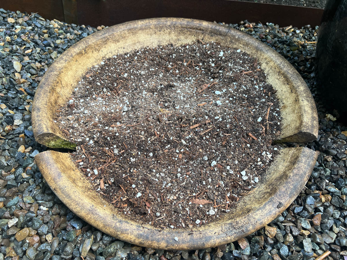 birdbath with soil in preparation for planting