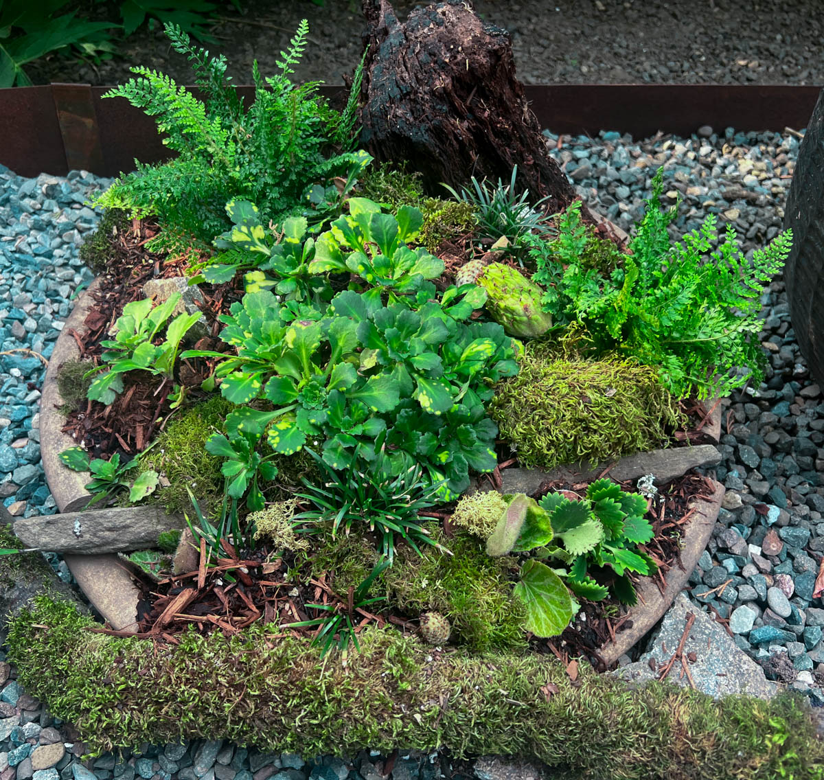 birdbath planter topped with moss and magnolia seedpods