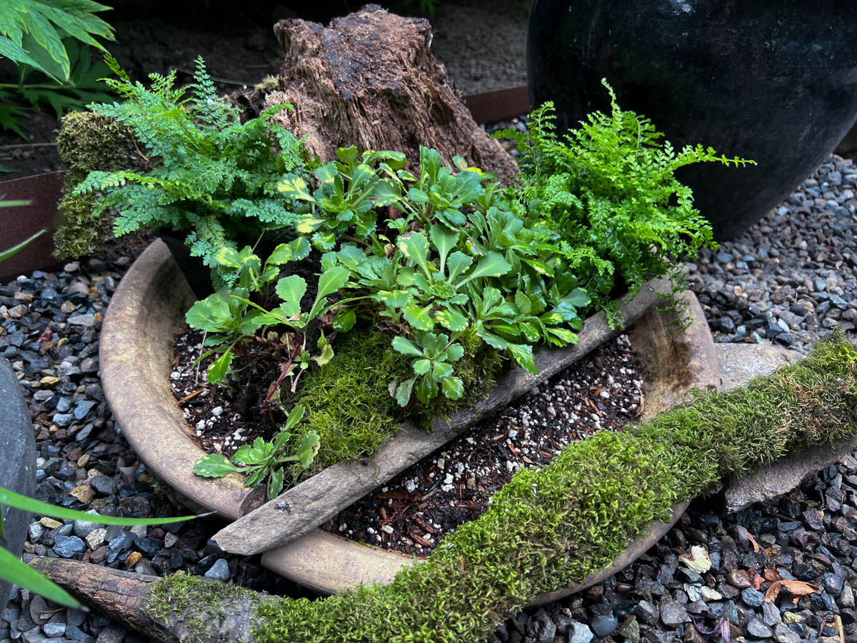 birdbath planter in progress with wood added